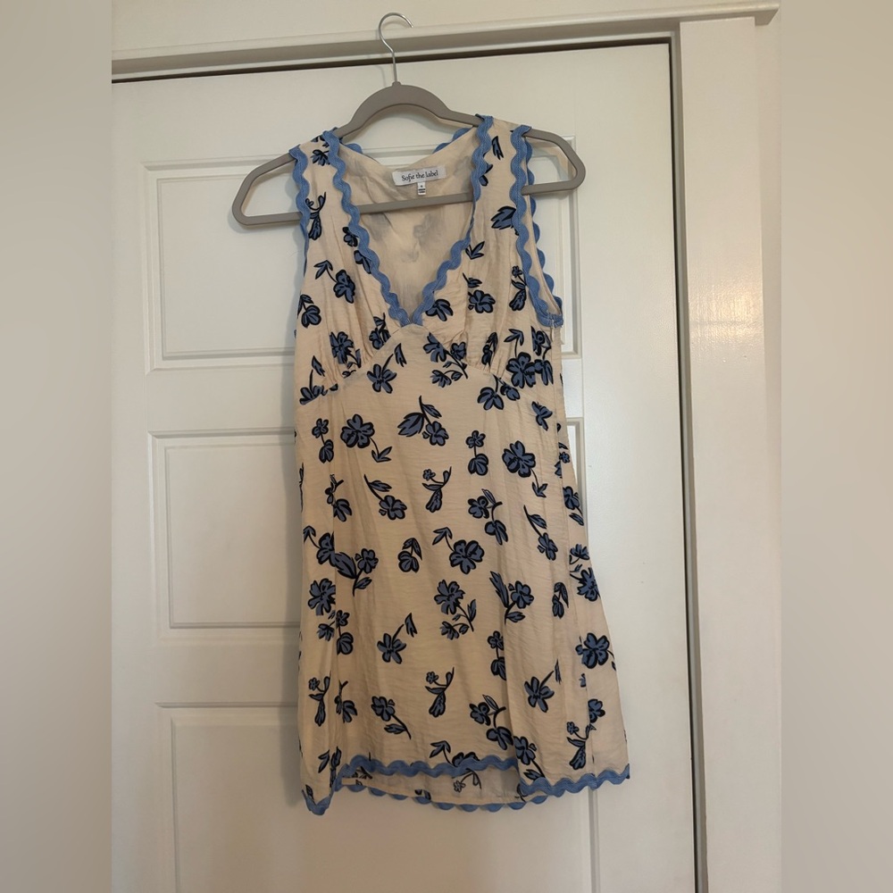 Style Stalker Blue Floral Mini Dress